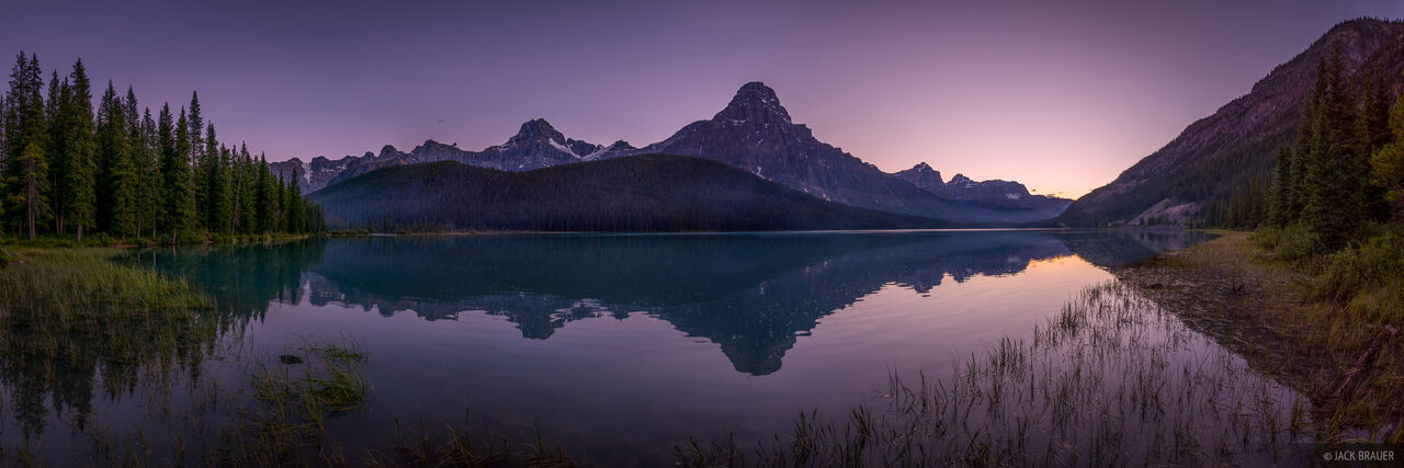 Waterfowl Twilight