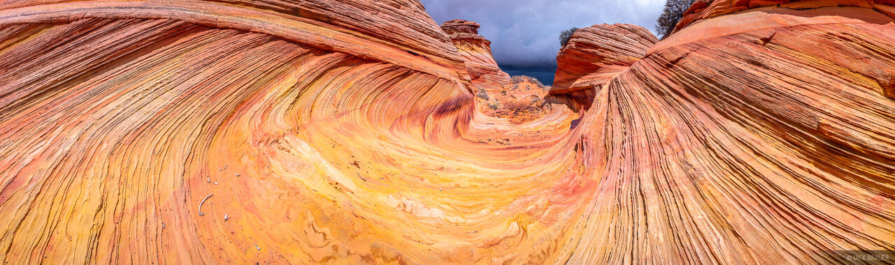 Petrified Wave Panorama