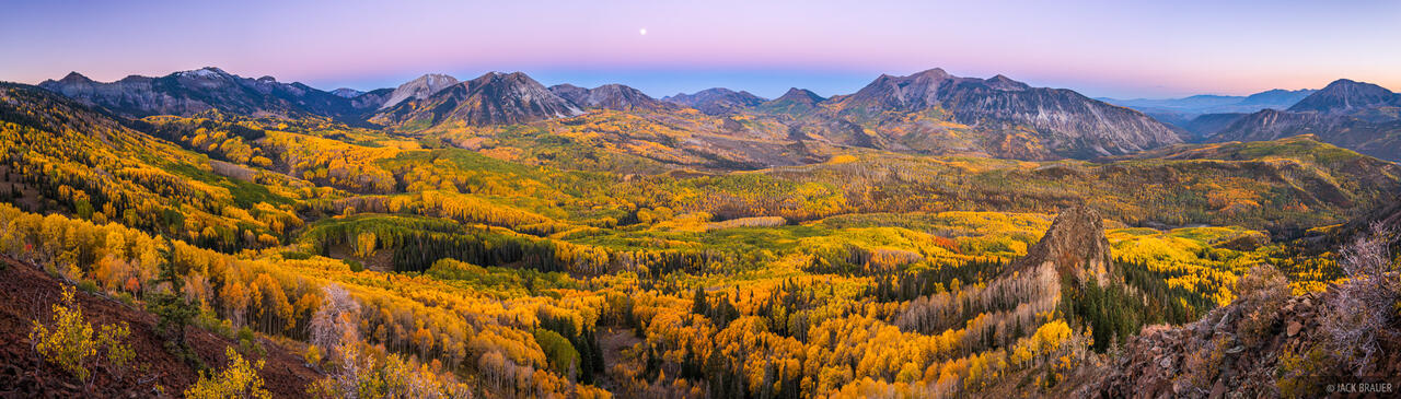 Aspens for Miles