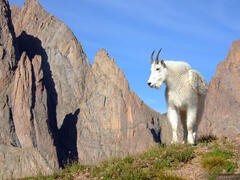 Weminuche Wilderness Trek