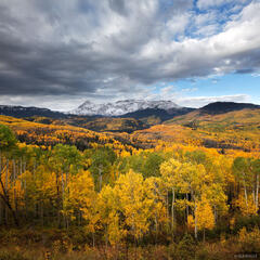 Colorado Fall Colors