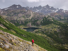 Dientes de Navarino
