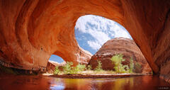 Coyote Gulch