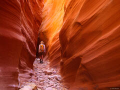 8 Dayhikes in the Canyons of Utah - Escalante & Capitol Reef