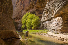Death Hollow Canyon