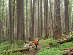 High Divide Loop, Olympic Peninsula