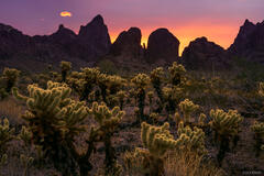 Kofa Mountains