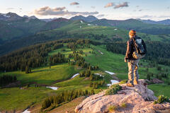 Summer Green in the San Juans