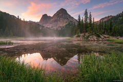 Wild in the Gore Range