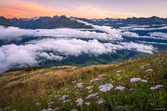 Wildkogel