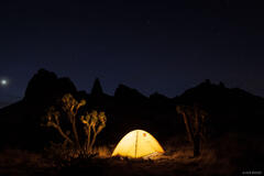 Remote Wanderings in the Mojave and Sonoran Deserts