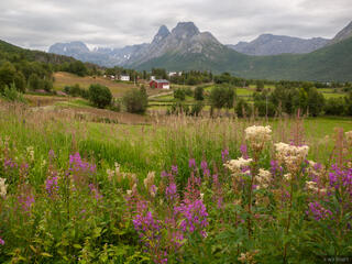 Bucolic Bodø