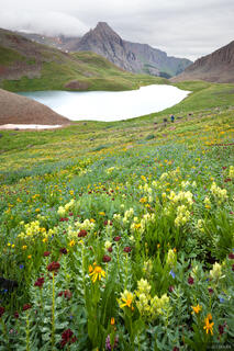 Blue Lakes Flowers