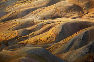 Stony Contours #4