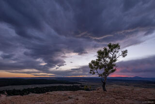 The Coming Storm