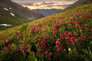 Paintbrush Sunset