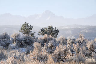 Sneffels Frost Haze