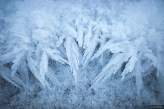Ice Growth