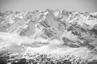 Habicht B&W