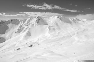 Pezid B&W