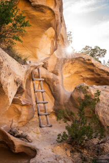 Mee Canyon Ladder