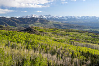 Cimarron Spring Greens