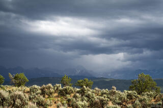Sneffels June Rain