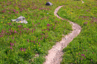 Paintbrush Trail