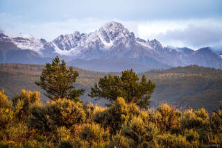 August Dusting on Sneffels