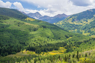 Late August at Capitol Creek