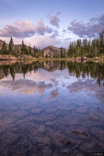 Ragged Reflection