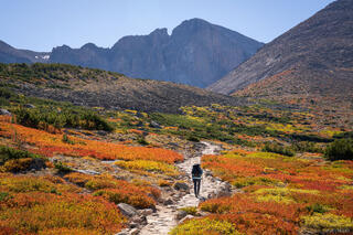 Autumn Trail to Longs Peak