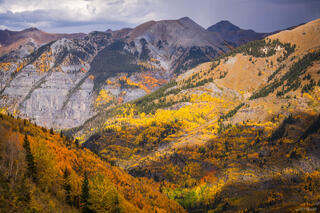 Abrams Aspen