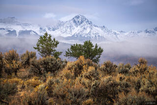 Sneffels October Mist