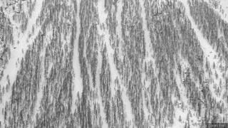 Chutes and Larches