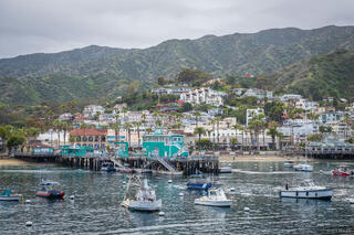 Avalon Harbor