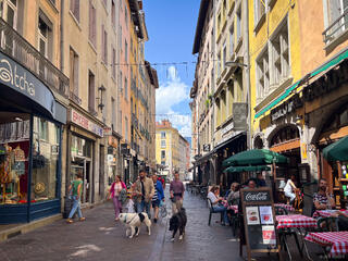 Grenoble Colors