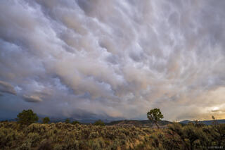 Bubble Clouds