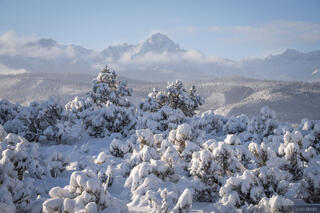 Sneffels December Snow