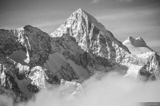 Nesthorn B&W