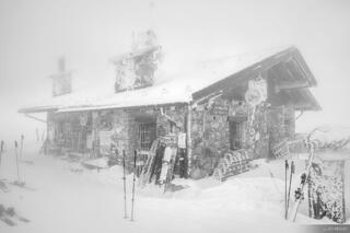 Le Marmotte B&W