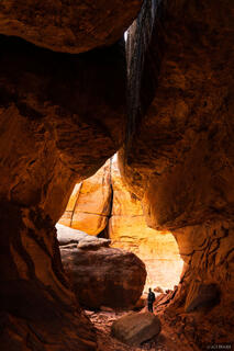 Joint Tunnel Walker