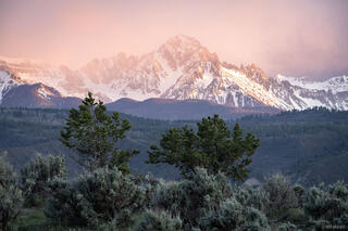 Sneffels Spring Light