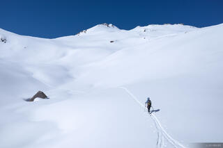 White Track