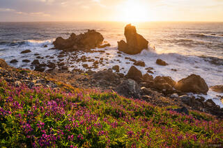 Sue-Meg Sunset