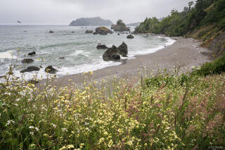 Baker Beach
