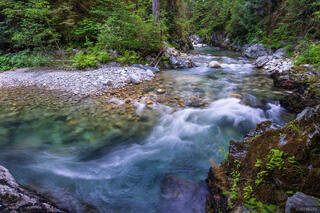 Kindy Creek