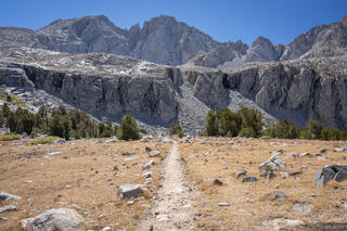 Forester Trail