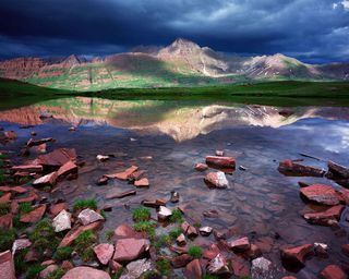 Homepage - Bells Reflection