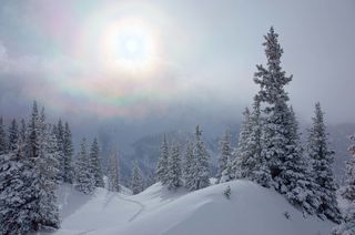 Homepage - Frozen Rainbow